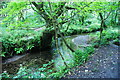 The River Cober near Helston in TR13 0SH