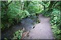 Footpath by a branch of the River Cober in TR13 0SH