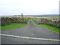 Gate and Road to Holly Rigg in Hartleyburn