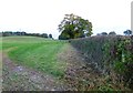 Footpath by field boundary in RG24 9NF