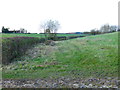 Looking northwards along field boundary from footpath in RG24 9NF
