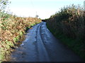 Country lane south of Tregear in PL26 6ND