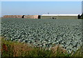 Farm buildings in Moulton Seas End in Moulton Seas End