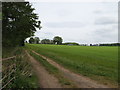 Farmland Track. in Church Aston