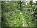 Footpath in Queenmeadow Copse in SO51 0LP
