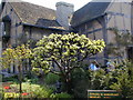 Shakespeare's birthplace Henley Street in CV37 6AG
