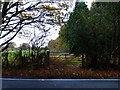 Field gate on Carthouse Lane in GU24 8BD