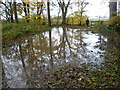 A  flooded footpath in Frid Wood in TN26 3DU