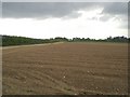 Cultivated field near Bagthorpe in PE31 6QY