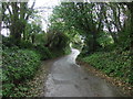 Lane towards Crafthole in PL11 3BH
