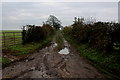 Muddy Track off Underlands Lane in HG4 5HW