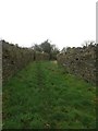 Harper's Lane, Greysouthen in CA13 0UL