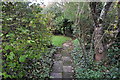Torridge : Garden Path in EX39 5BD