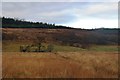 Rough grazing at Ardnaclach in PA38 4BA