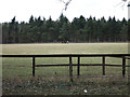 Horse field by Lodge Road in IP26 4DR