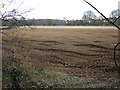 Prepared field by Lodge Road in IP26 4DR