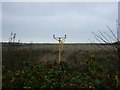 Landing lights, former Blackpool International Airport in FY8 3EA