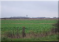 Crop field off Queensway in FY8 3EA