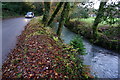 Tory Brook, looking downstream in PL7 5BL