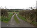 Farm track near Great Clifton in CA14 1UH