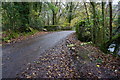 Bridge over the Torry Brook in PL7 5JT