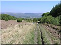 Footpath in Dare Valley Country Park in Aberdare West Community