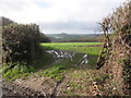 Field access, above Loxhore in Loxhore