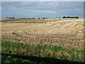 Stubble field off Gorsey Lane in PR9 8EB