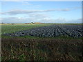 Cabbage field off Guide Road in PR4 6XS