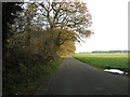 Minor road past Weasenham Lyngs in PE32 2RZ