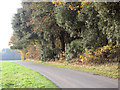 Minor road past Sawmill Wood in PE32 2RZ