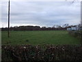Grazing off Liverpool Road, Hutton in PR4 5DB