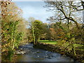 The River Avon from bridge near Haswell in TQ9 7LX