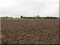 Ploughed field, Dalqueich in KY13 0RG