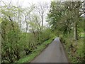 Road near Craigow in KY13 0RT