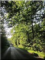 Road across Bedwyn Common in SN8 3BG