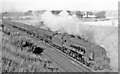Carluke, 1961: Stanier 'Coronation' 4-6-2 on Up WCML express in ML8 4HW