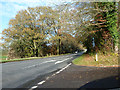 A343 Newbury Road in SP11 6HZ