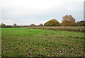 Fields north of Mad Dog Lane in PE32 2JP