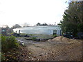 Plaitford, glasshouse in SO51 6EE