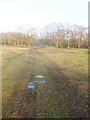 Plaitford Common, forestry track in SO51 6ER
