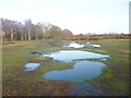 Plaitford Common, wetland in SO51 6ER