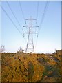 Plaitford Common, power lines in SO51 6ER