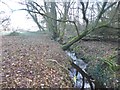 Plaitford Common, ditch in SO51 6ER