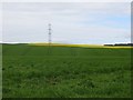 Arable land, Broombrae in KY14 7AE