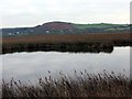 Morfa Llanrhydian / Llanrhidian Marsh in SA3 1ER