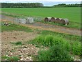 Farmland, Longparish in SP11 6QW