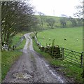 Bridleway near Henridding in LA6 1NL