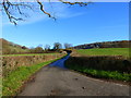 The road towards Hill Farm, Llanishen in NP25 4PP