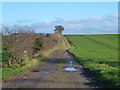 Farmland track near East Rudham's closed station in PE31 8TF